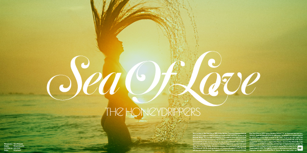 Sea of Love Robert Plant The Honeydrippers Typography